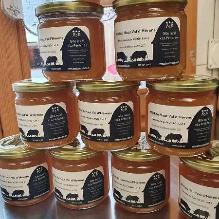 Bed & Breakfast La Peniche Evolène