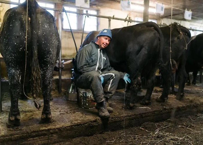 Bed and Breakfast La Peniche Evolène