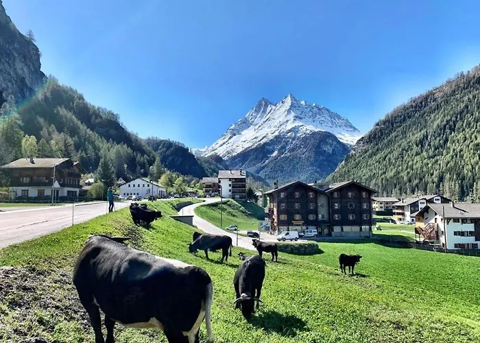 Bed and Breakfast La Peniche