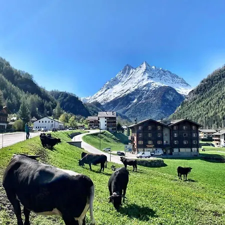 Bed & Breakfast La Peniche